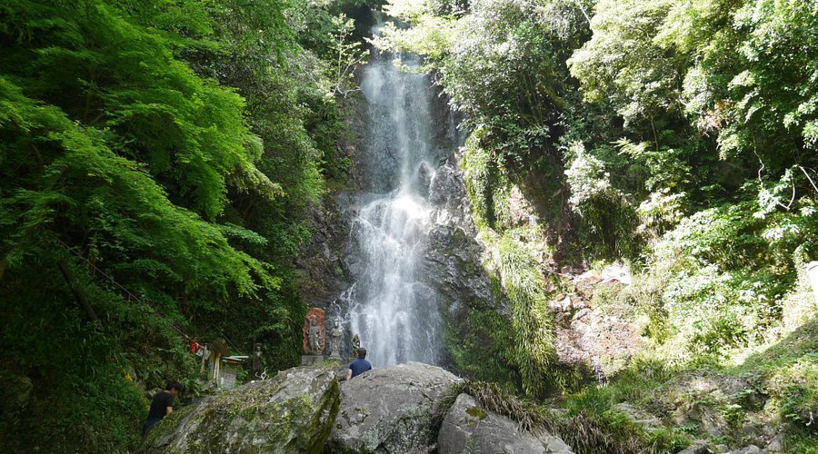 🦀 갯벌 체험 공원(카이유 후레아이 파크) 이미지 4